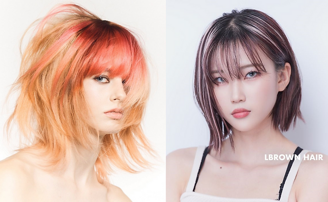 출처: 그라피, 엘브라운 헤어