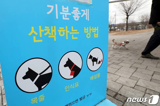 서울시는 개정된 동물보호법을 지난 12일부터 시행, 맹견 책임보험 가입이 의무화됐다/사진=뉴스1