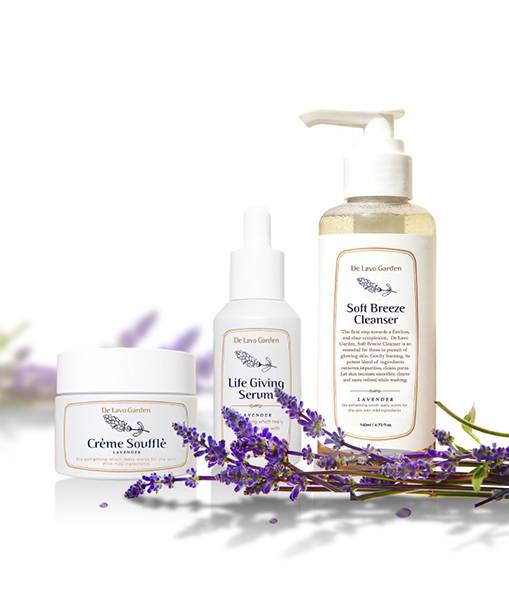 비건 브랜드 '드라보가든' 뷰티 제품/사진제공=(주)아마란스