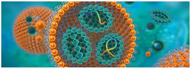 지질 나노 입자(LNP) 단면 / 사진=코덴파마 홈페이지 캡처.