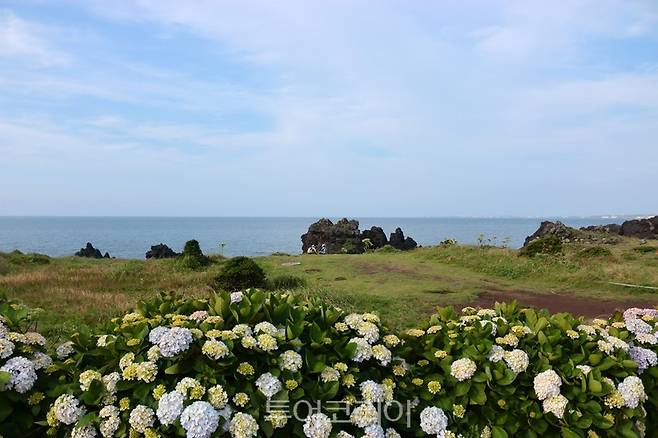 제주도 풍경 / 사진-웹투어