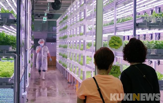 지하철 이용객들이 지난 24일 오후 서울 지하철 7호선 상도역 내에 위치한 메트로팜 재배실을 바라보고 있다.&nbsp;