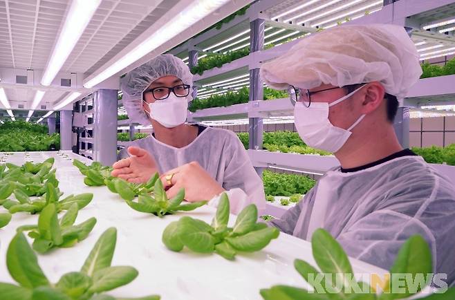 체험 프로그램 참가자가 작물을 수확하기 전 연구원의 설명을 듣고 있다.&nbsp;