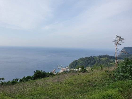 울릉도 자연인 정헌종씨의 보금자리. 여기에 앉아 명이죽도 해먹고, 시도 씁니다. 전수진 기자