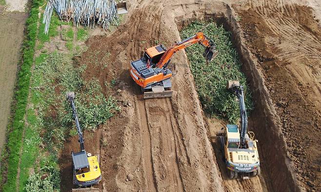 7일 충남 예산군 한 사과농장에서 과수화상병에 확진된 사과나무가 땅에 매몰 처리되고 있다. /연합뉴스