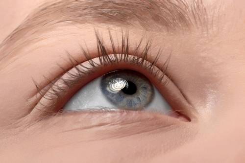 게티이미지뱅크