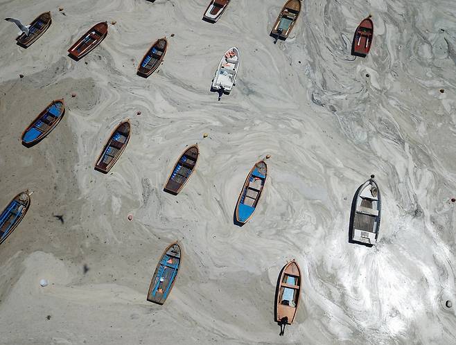 해양점액은 자체로는 유해하지 않지만 수면을 덮으면 물 속 산소공급에 지장을 초래한다. 신화=연합뉴스