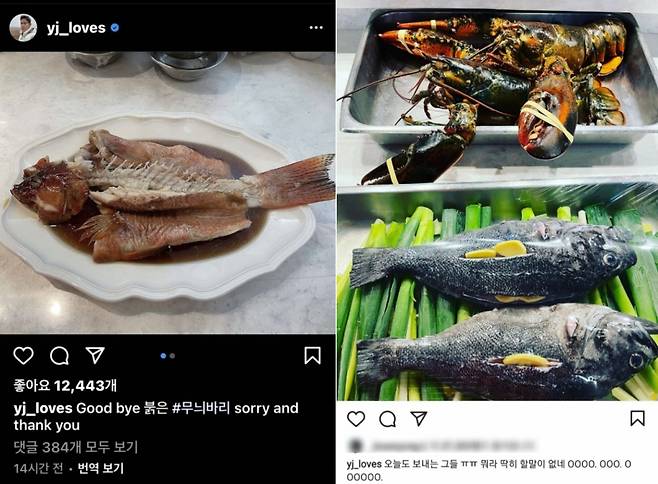 /사진=정 부회장 인스타그램