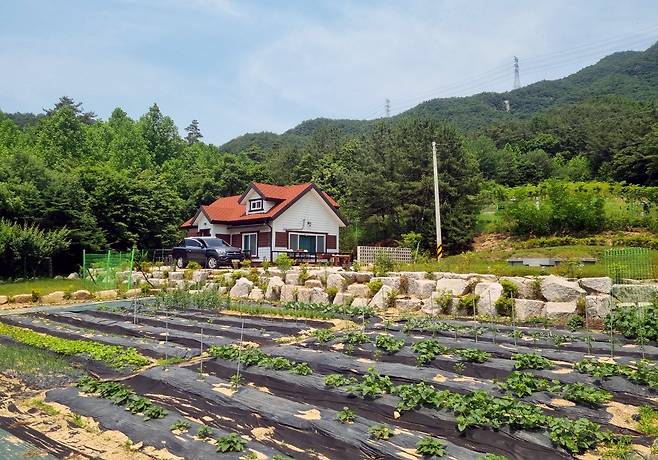 9일 오전 찾은 우상호 더불어민주당 의원 소유 포천시 일동면 길명리 땅. /고성민 기자