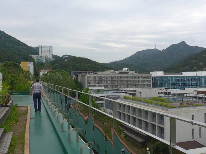 옥상을 녹화하면 물과 나무가 증발산을 일으켜 열섬 현상을 줄이는 데 기여할 수 있다. 서울대 35동 옥상텃밭 건너편으로 옥상정원을 설치한 34동 옥상이 내다보인다.