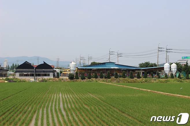 친환경 인증을 받은 수만농장. © 뉴스1