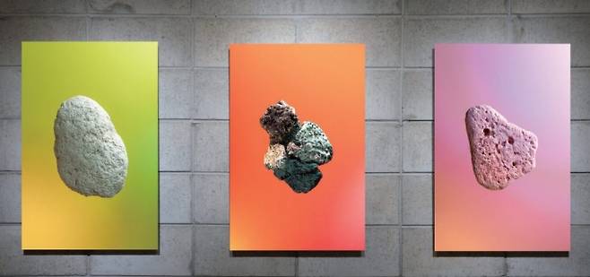 스티로폼락, 뉴모픽락, 스펀지락 │ 2017년 장한나 작가가 제주에서 채집한 뉴락의 프로필 사진. 장 작가는 뉴락의 뼈대가 되는 플라스틱의 종류에 따라 세 가지로 구분한다. 다양한 플라스틱 폐기물이 다채로운 모습을 보여주고 있다. 장한나 제공