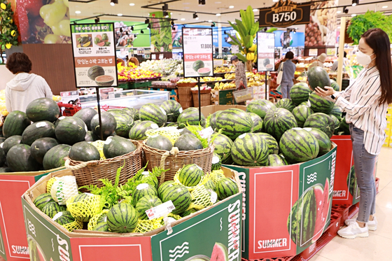 A visitor shops for watermelons at Lotte Mart’s Seoul Station branch in central Seoul. [LOTTE MART]