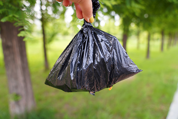 환경을 위해 쓰레기를 줍는 비닐봉지는 한 번 이상 사용한 걸 재활용하고 있다.