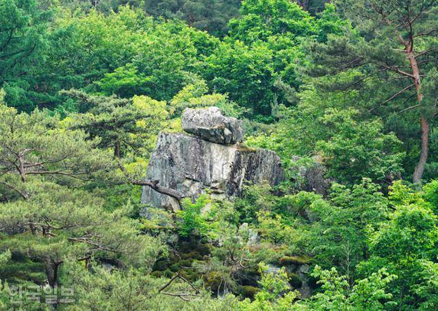 그림바위마을에서 바로 올려다보이는 거북바위. 마을의 수호신 같은 존재다.