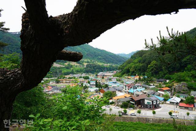거북바위에 오르면 마을 전경이 한눈에 내려다보인다.