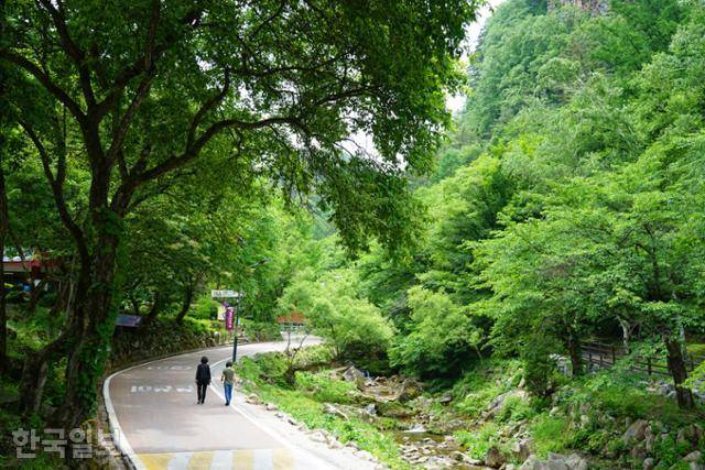 화암약수 주변에는 산책로가 잘 정비돼 있어 호젓하게 걷기에 그만이다.