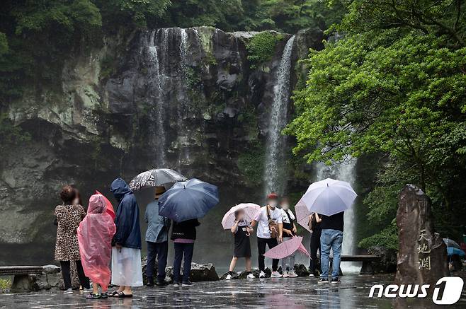 비 오는 날 시민들이 우산을 쓰고 있다. 2021.6.15/뉴스1 © News1 DB