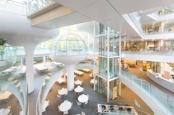 아베 신조 전 일본 총리와 친형인 아베 히로노부는 초등학교부터 대학까지 모두 세이케이학원을 나왔다. 미래도시를 연상시키는 도서관으로 유명한 세이케이대는 미쓰비시그룹과 끈끈한 관계를 유지하고 있다. 형 히로노부도 미쓰비시상사에서 임원을 역임했다.