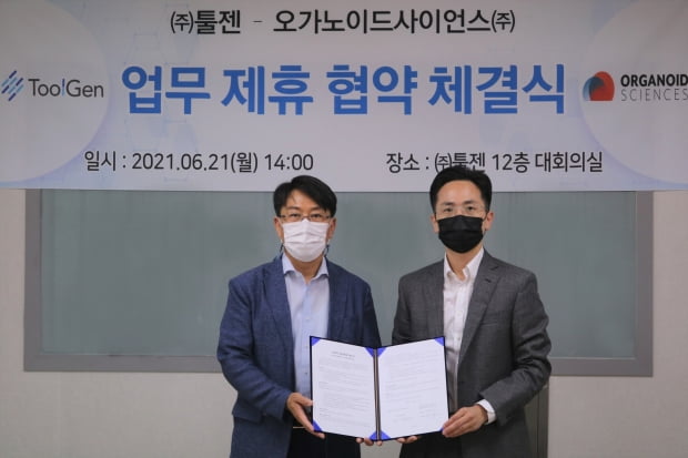 왼쪽부터 김영호 툴젠 대표와 유종만 오가노이드사이언스 대표.