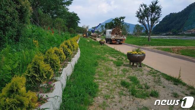 장흥군이 탐진강변에 나무를 식재하는 정비공사를 실시하고 있다./뉴스1 © News1