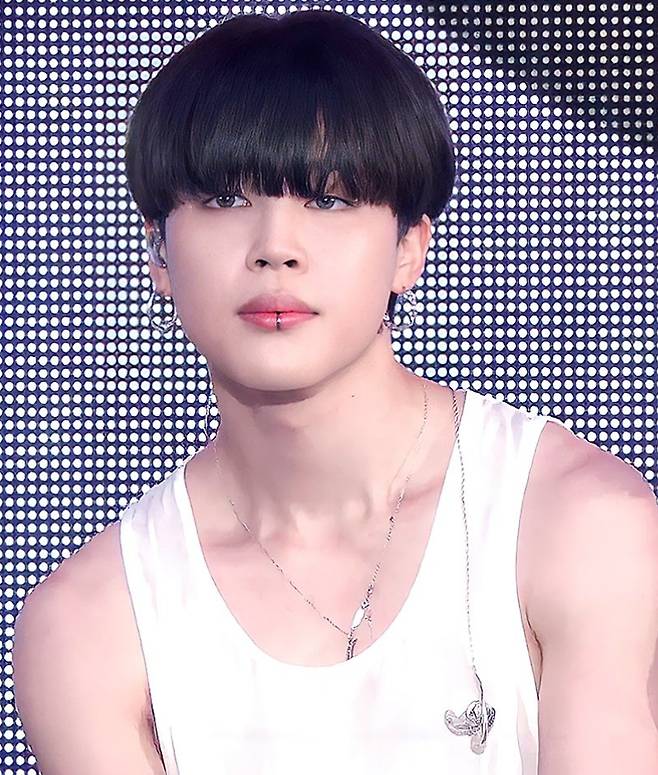 방탄소년단 지민(BTS JIMIN)
