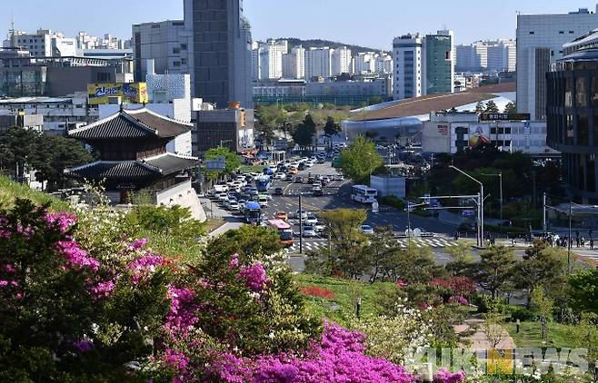 봄꽃 만개한 동대문성곽공원에서 바라본 흥인지문과 도심 전경/ 안타깝게도 흥인지문(동대문)에서 남산초입 구간도 성곽이 대부분 소실되었다.