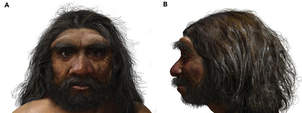 14년 만 전 중국 지역에 살았던 신종 고대 인류의 두개골을 바탕으로 복원한 얼굴