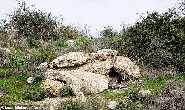 이스라엘군 병사가 지형 지물과 위장막을 이용해 은폐한 모습.(사진=이스라엘 국방부 제공)