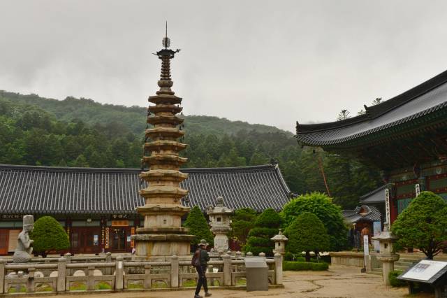 오대산 월정사의 우중(雨中) 풍경.