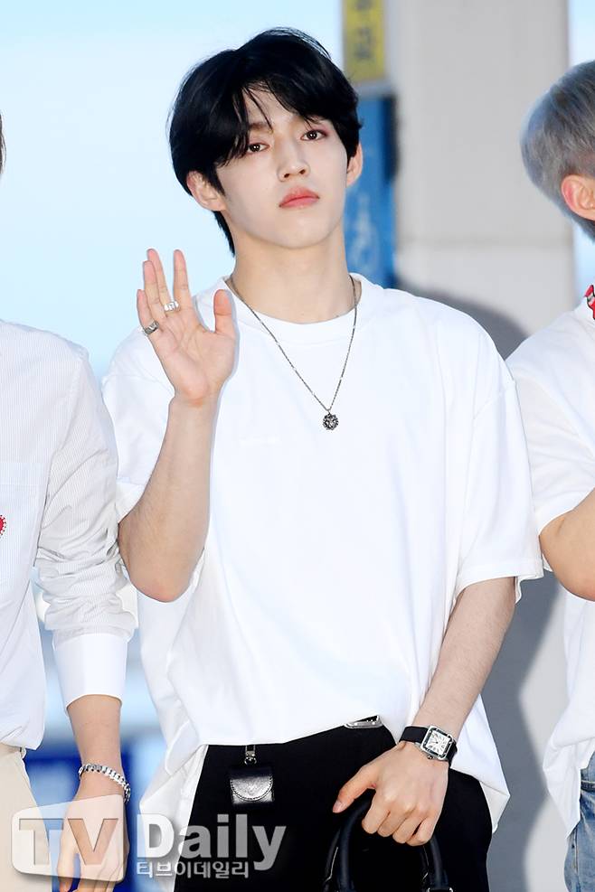 세븐틴 에스쿱스