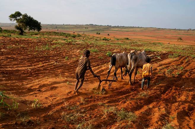 극심한 가뭄으로 기아에 시달리는 마다가스카르 아이와 말라버린 땅을 경작하고 있는 어린이. AP 연합뉴스