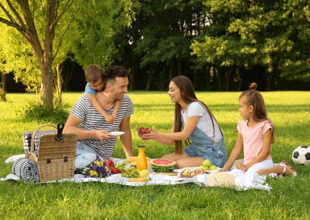 메이필드호텔 서울 ‘서머 가든 피크닉 패키지’ *재판매 및 DB 금지