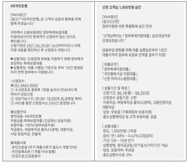 불법 대부광고 스팸문자 사기 유형. /금융위원회 등