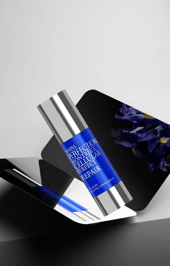 ⓒ신세계인터내셔날