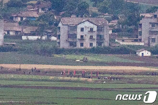 18일 파주 접경지역에서 바라본 북한 개풍군 마을에서 주민들이 농사일을 하고 있다. 2021.6.18/뉴스1 © News1 이승배 기자