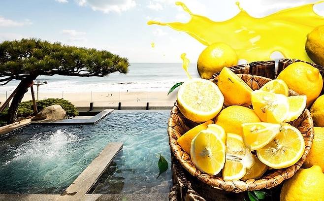 파라다이스호텔 부산 '썸머 레몬 스파'.© 뉴스1