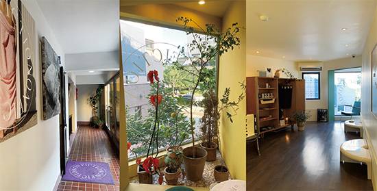 향, 가구, 식물, 전경. 모든 것이 아름다운 논픽션 쇼룸.