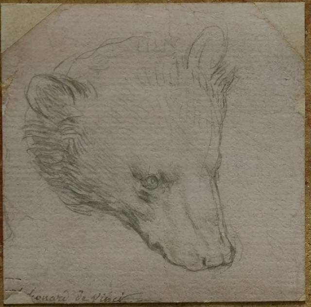 ‘곰의 머리’(Head of a bear). AP뉴시스