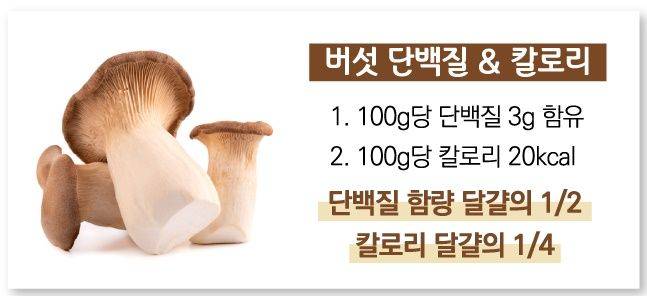 ⓒ데일리안 박진희 디자이너