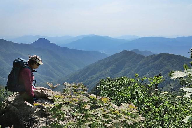 2 도마치봉 서릉 하산길 첫 번째 전망바위에서 조망. 오른쪽 향적봉에서 왼쪽으로 흥룡봉 도마치계곡 가리산(정상이 돌고래 주둥이를 닮은 봉)이 보인다. 가리산 뒤는 금주산. 금주산 오른쪽은 사향산과 관음산이다.