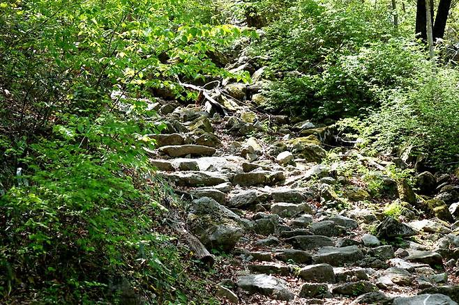 먼 곳의 둘레길을 걷자 하면 그 길이 원점 회귀 코스가 아닌 경우 부득불 출발지로 돌아올 방법을 고민하지 않을 수가 없다.