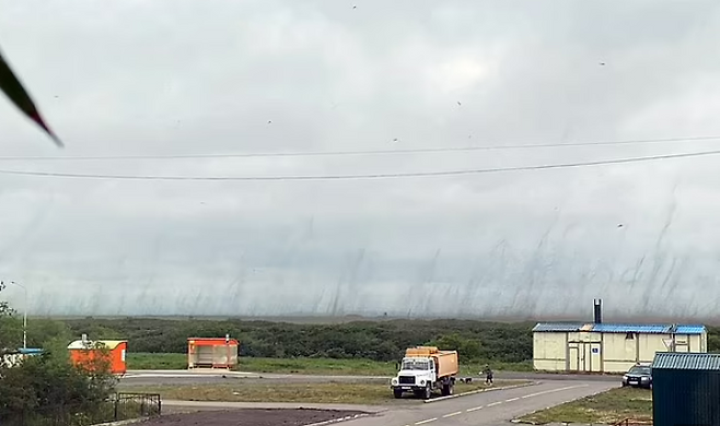 러시아 현지시간으로 17일 극동 캄차카 지역에 등장한 대규모 모기떼. 사진 시베리안타임스