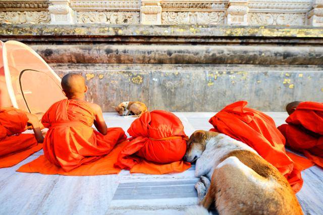 인도 부다가야에서 기도하는 남방불교의 동자승들. ©여실화(서애자)