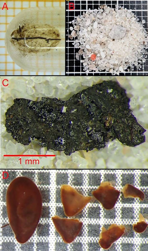 연구 결과 미라는 죽기 12~24시간 전 보리 등 각종 곡물과 씨앗으로 만든 포리지(일종의 죽)를 마지막으로 먹은 것으로 나타났다.