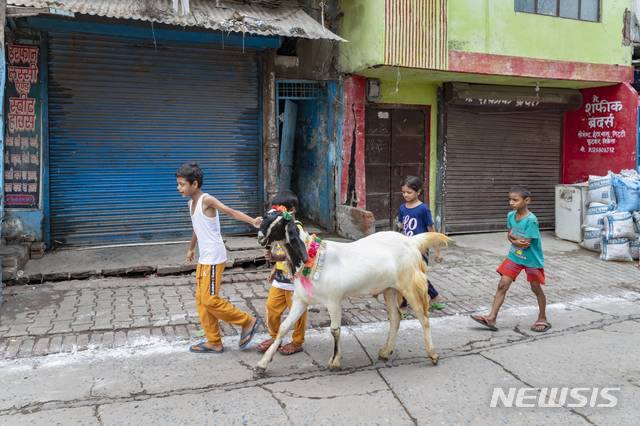 [프라야그라즈=AP/뉴시스] 21일(현지시간) 인도 프라야그라즈에서 이슬람 축제 '이드 알 아드하'가 열려 어린이들이 제물로 쓸 염소와 함께 걸어가고 있다. '희생제'로도 알려진, 이슬람 최대 명절인  '이드 알 아드하' 기간 동안 이슬람교도들은 양이나 소를 도축해 가난한 사람들과 나눠 먹는다. 2021.07.21.