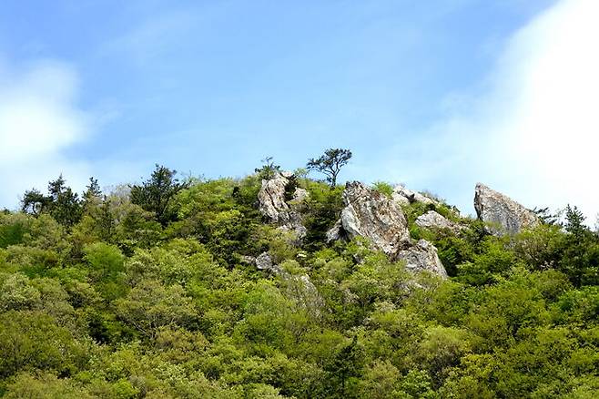 3구간은 달마산 중턱으로 나 있는데 맨 서쪽 도솔봉 아래까지 이어진다.