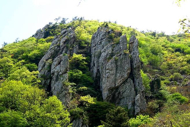 달마산(489m)은 소백산맥이 한반도 서남쪽의 해남 두륜산을 거쳐 최남단 땅끝을 향해 뻗어 내려가다 바다로 사그라지기 전 마지막 용트림으로 치솟은 긴 암릉의 바위산이다.