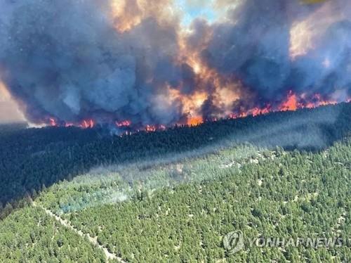 산불 확산하는 캐나다 브리티시 컬럼비아주 [AFP 통신=연합뉴스]