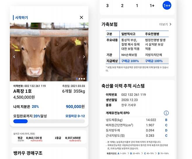 Bancow’s investment platform for cows (Bancow)